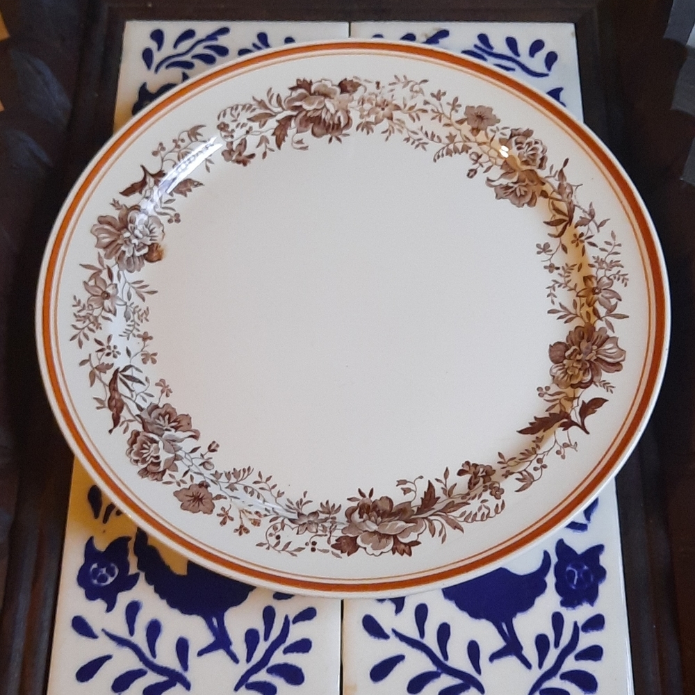 Two antique Taylor Smith Taylor dinner plates